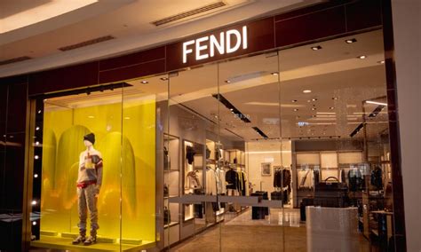 fendi italy|who is fendi owned by.